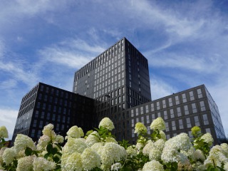 Laan van Spartaan